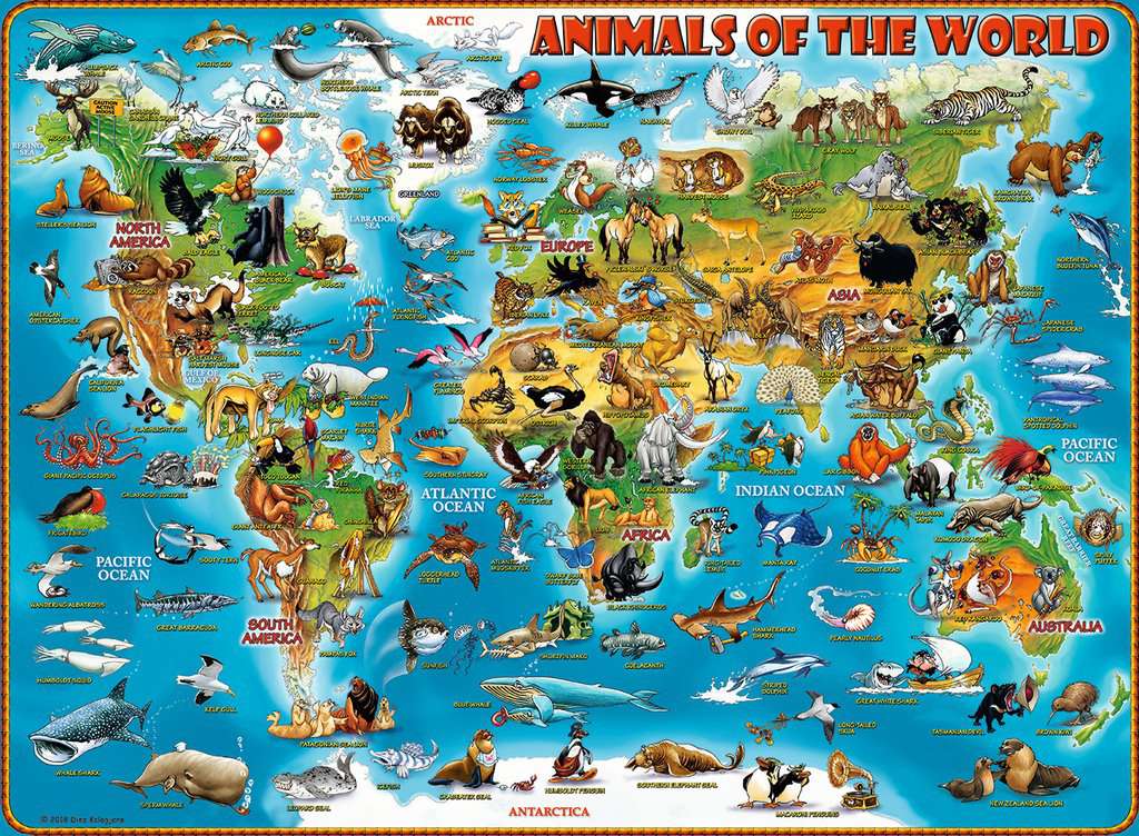 Ravensburger Rompecabezas: Mapa de Animales del Mundo Kids XXL 300 piezas