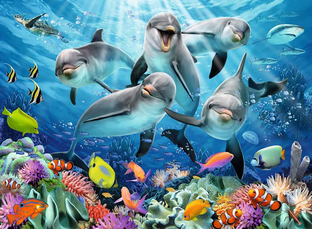 Ravensburger Rompecabezas Adultos: Delfines Arrecife 500 piezas