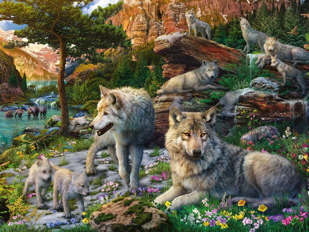 Ravensburger Rompecabezas Adultos: Lobos en primavera 1500 piezas