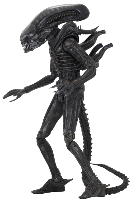 NECA Figura de Accion Ultimate: Alien 40 Aniversario - Xenomorfo 7 Pulgadas